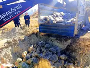 Şanlıurfa'da 4 Ton Bozuk Sakatat İmha Edildi