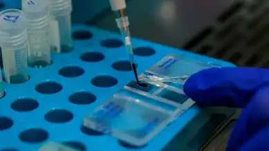 Hitit-Maryland Üniversitesi, KKKA Aşısı İçin Ortak Çalışma Başlattı