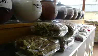 Ihlamur Fiyatlarında %100'lük Zam!